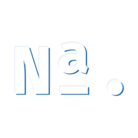 Navid Anindya Logo